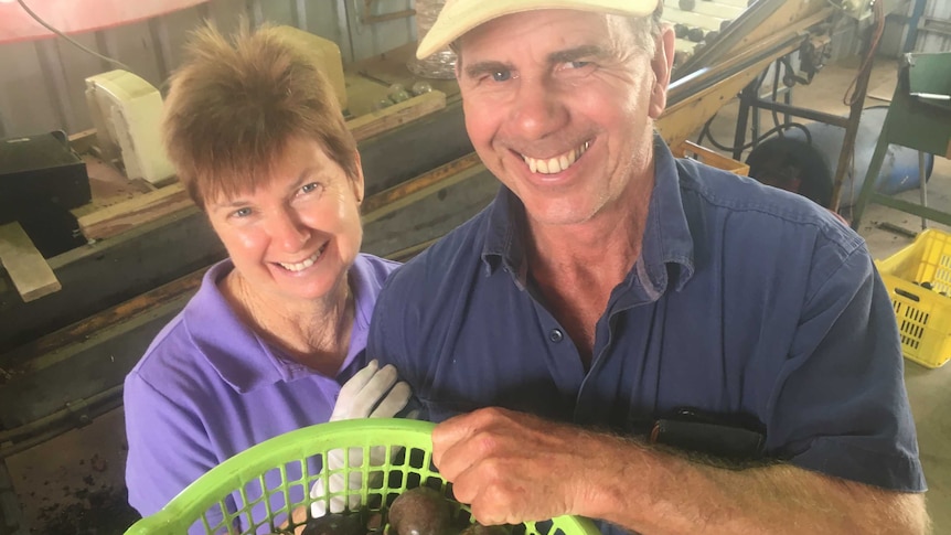 man and woman with a basket of passionfruit in a packing shed