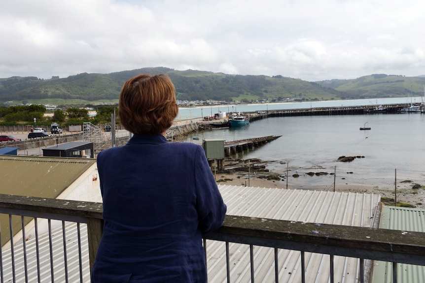A woman stands against a rail and overlooks a harbour.