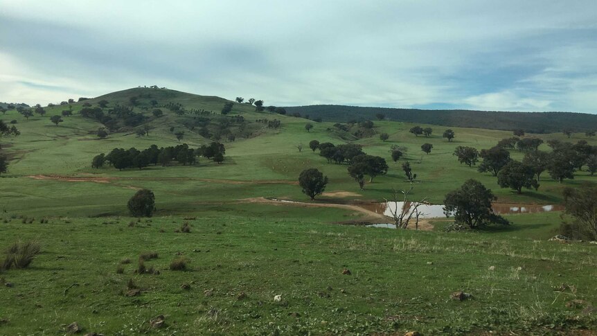 Looking over valley near Canowindra