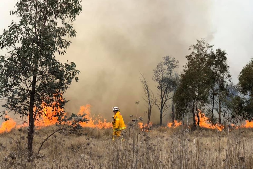 A fire fighter stands in front of a grass fire.