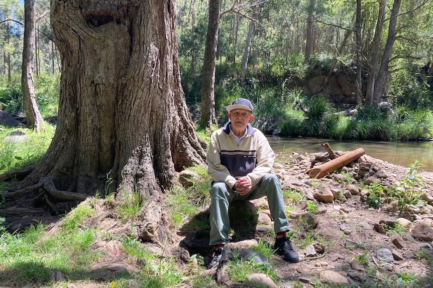 An elderly Indigenous man sits in the bush.