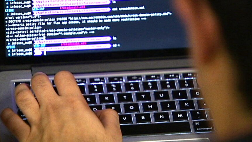 Rise of ransomware attacks prompts expert calls for governments to  establish 'cyber militia' - ABC News