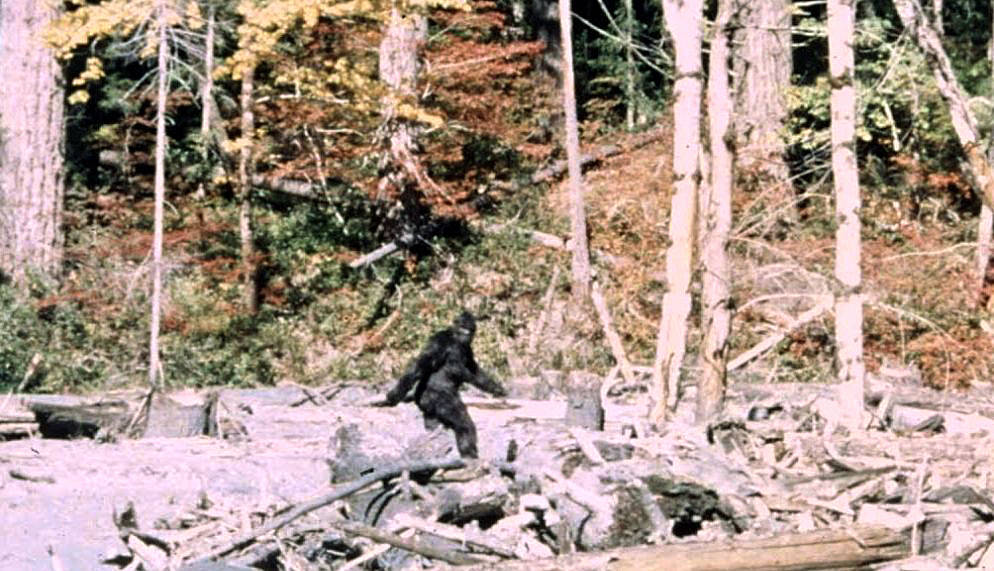 Does Bigfoot exist?