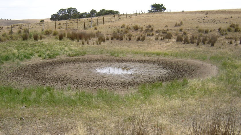 Water lies in a puddle in the middle of a near-empty dam
