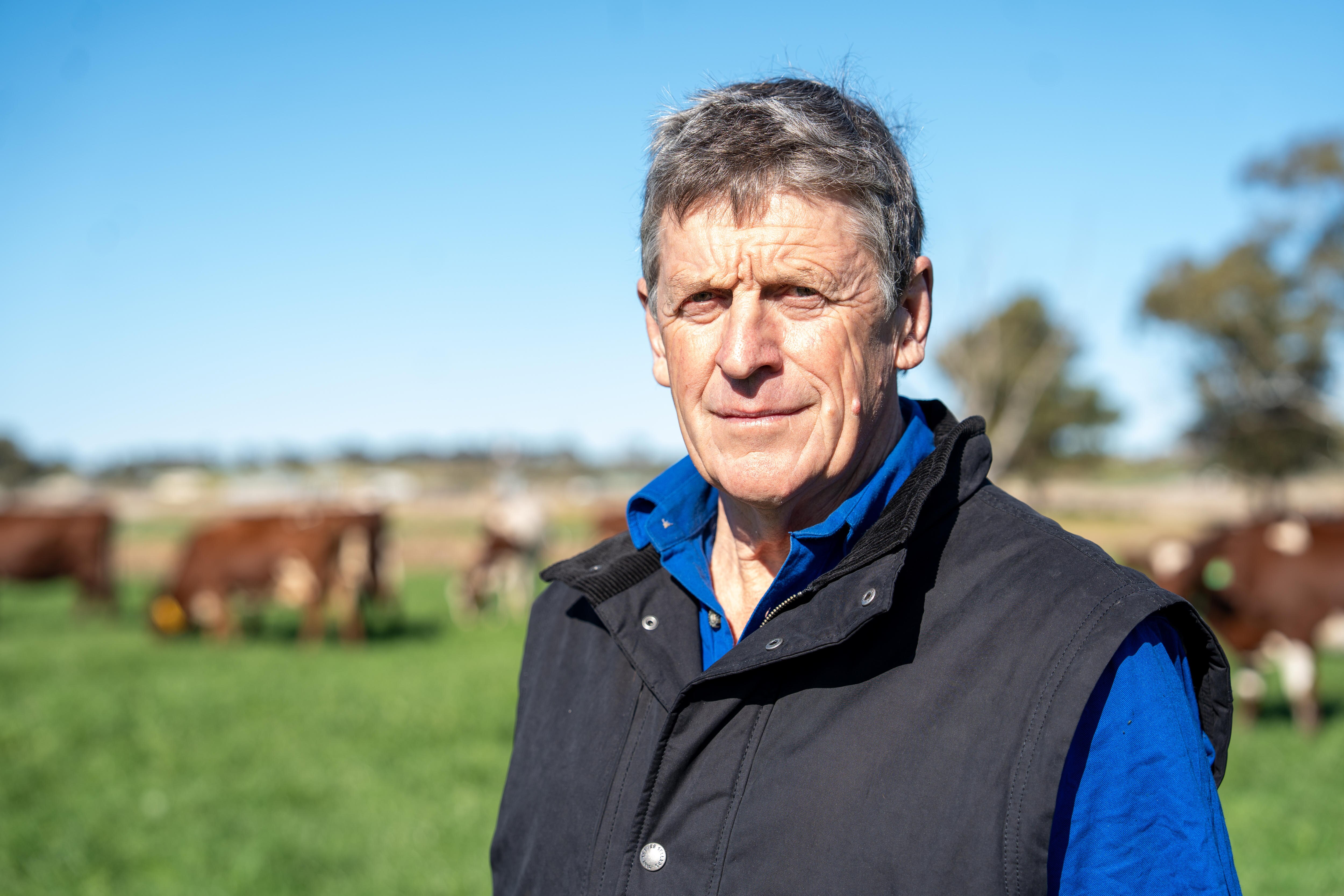 Un hombre parado frente a un paddock de vacas lecheras. 