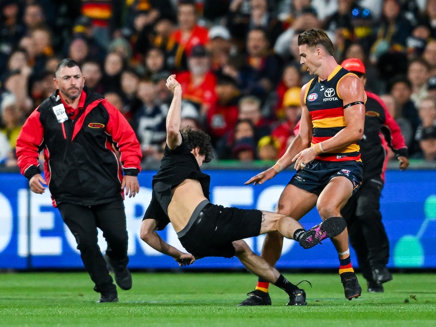 A Crows players stands and watches a fan fall to ground as a security officer runs over in the middle of the game.