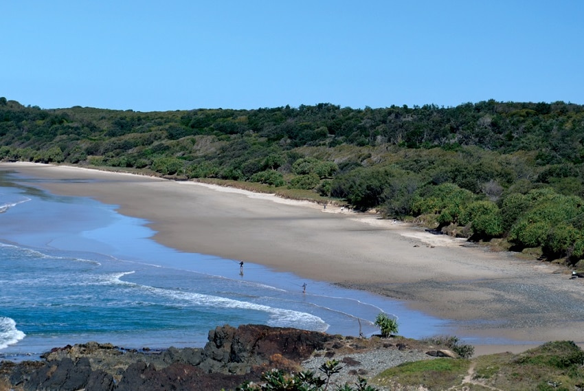 A stretch of beach surrounded by forest