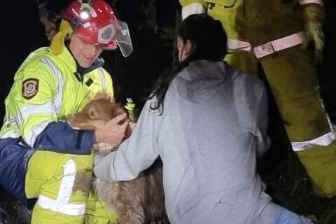 A firefighter and woman both hug a dog