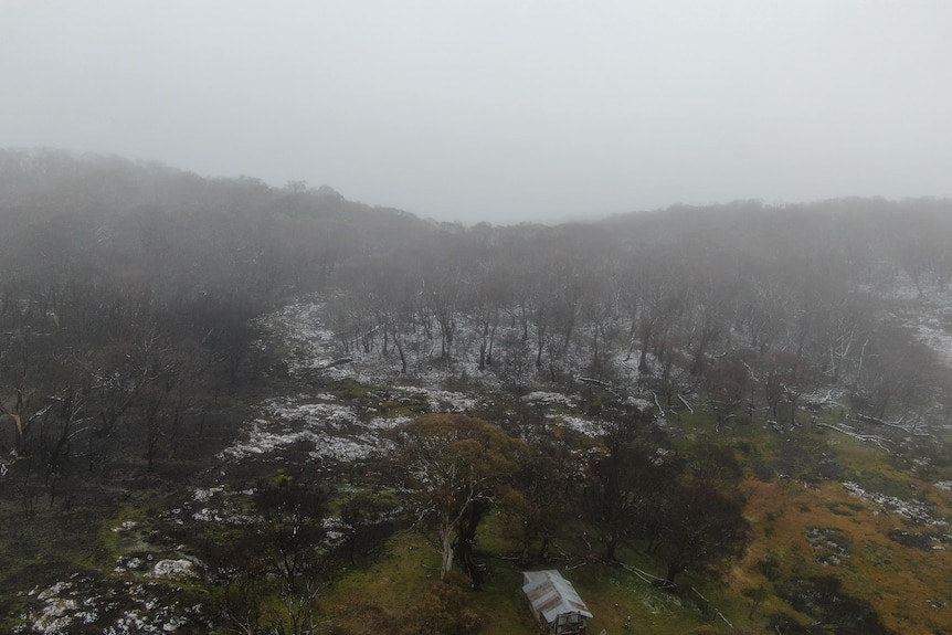 A misty aerial photo of Victoria's High Country, with patchy snow and fog hanging over charred bushland.