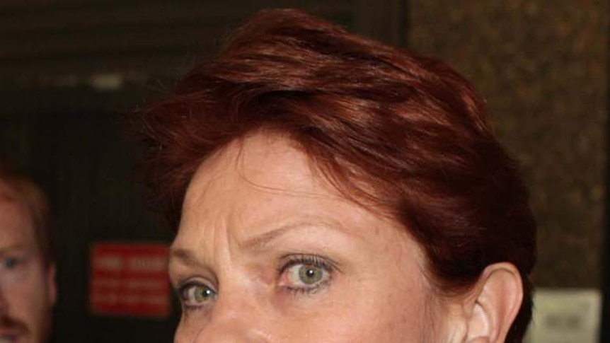 Pauline Hanson says officials knew the votes were not counted and were trying to keep it from the media.