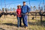A man and a woman standing between bare grapevines