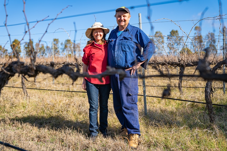 A man and a woman standing between bare grapevines