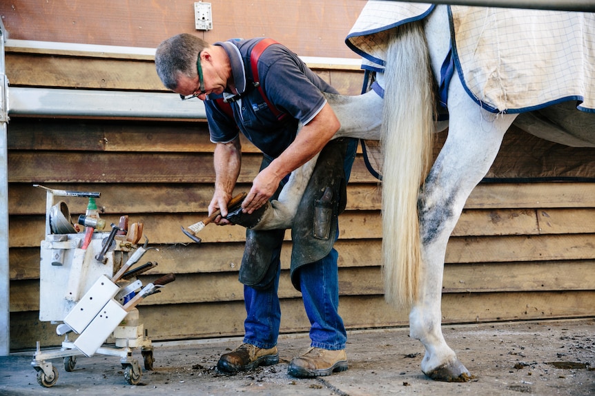 A man holding a horse's hoof with a tray of tools