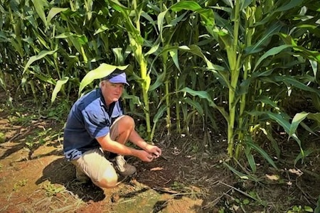 A farmer kneeling on the ground, holding soil