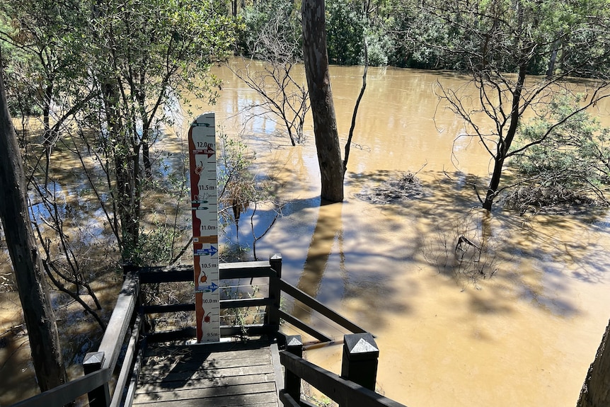 a flood indicator next to a flooded creek