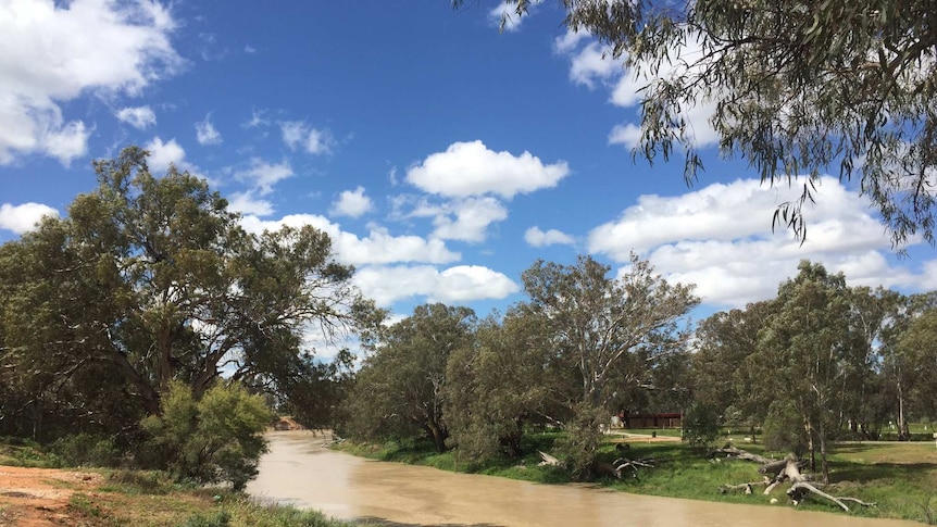 The Darling River at Wilcannia in October 2016.