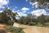 The Darling River at Wilcannia in October 2016.