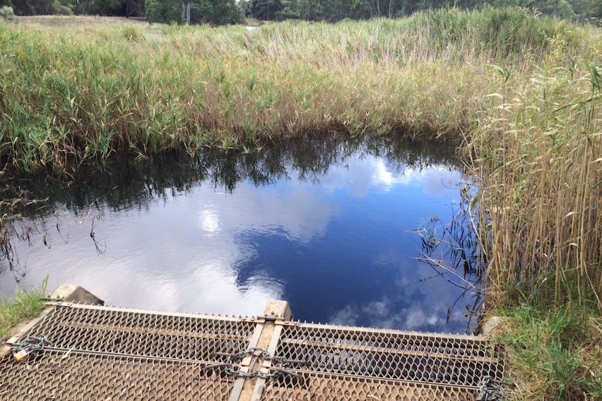 Kaurna wetlands in Salisbury