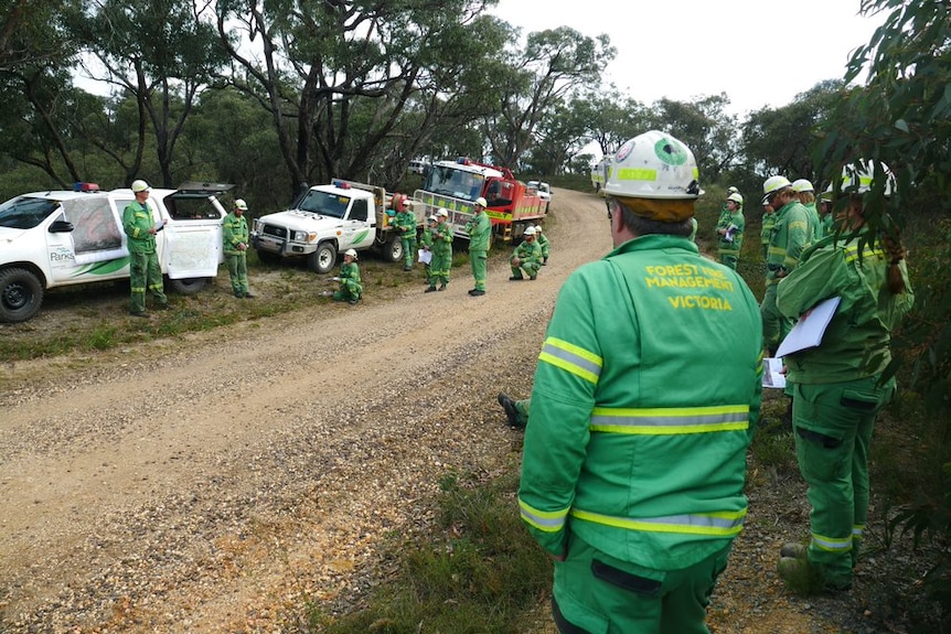 About 20 people stand by a gravel road in the bush dressed in green Forest Fire Management overalls and white hard hats.