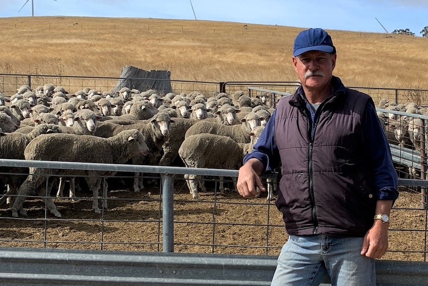 A  man in puffer jacket and baseball cap stands in front of a sheep pen.