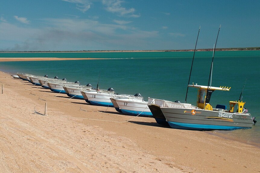 Boats on a  beach