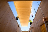 A timber panel is lowered into a construction site.