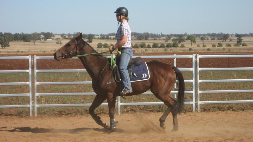 Sarah on Dargo as he became known, at Dubbo the morning of the accident March 24, 2009.