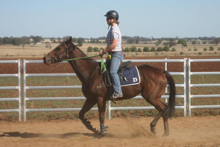 A young woman rides a brown horse in a ring