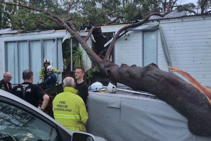 A tree fallen through a house with fire fighters around it in Mount Tamborine