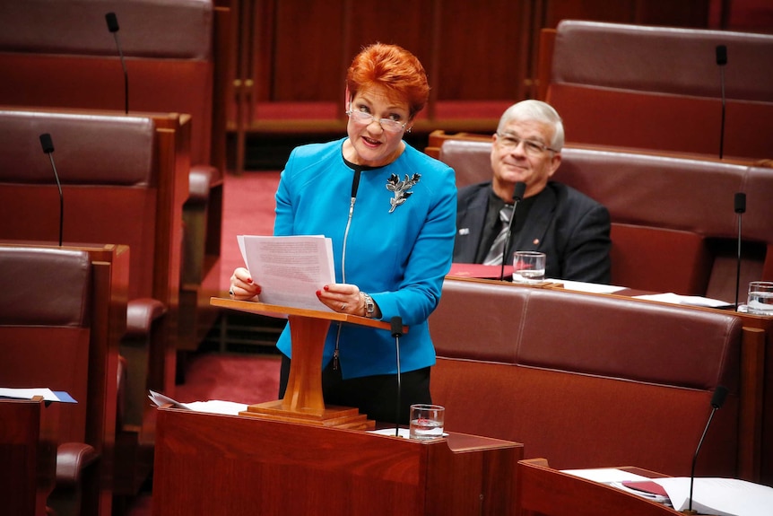 Pauline Hanson reads her maiden speech to the Senate.