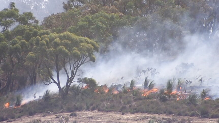 Smoke blows from a scrub fire near at Kyeema in South Australia.