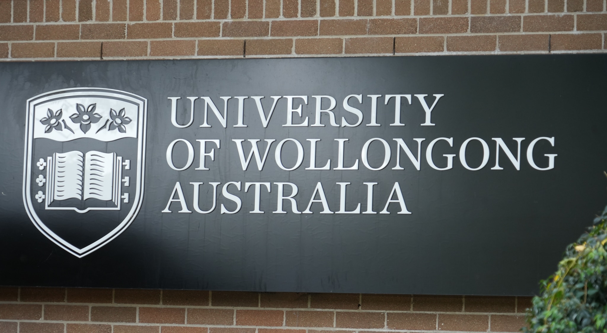 Uni's HR chief tells ICAC she was 'shocked' by promotion proposal