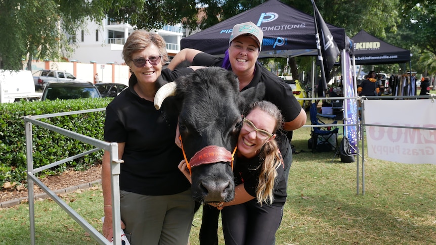 One elderly lady, Nemoo the steer and two middle aged ladies dressed in black shirts hugging and patting him