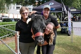 One elderly lady, Nemoo the steer and two middle aged ladies dressed in black shirts hugging and patting him