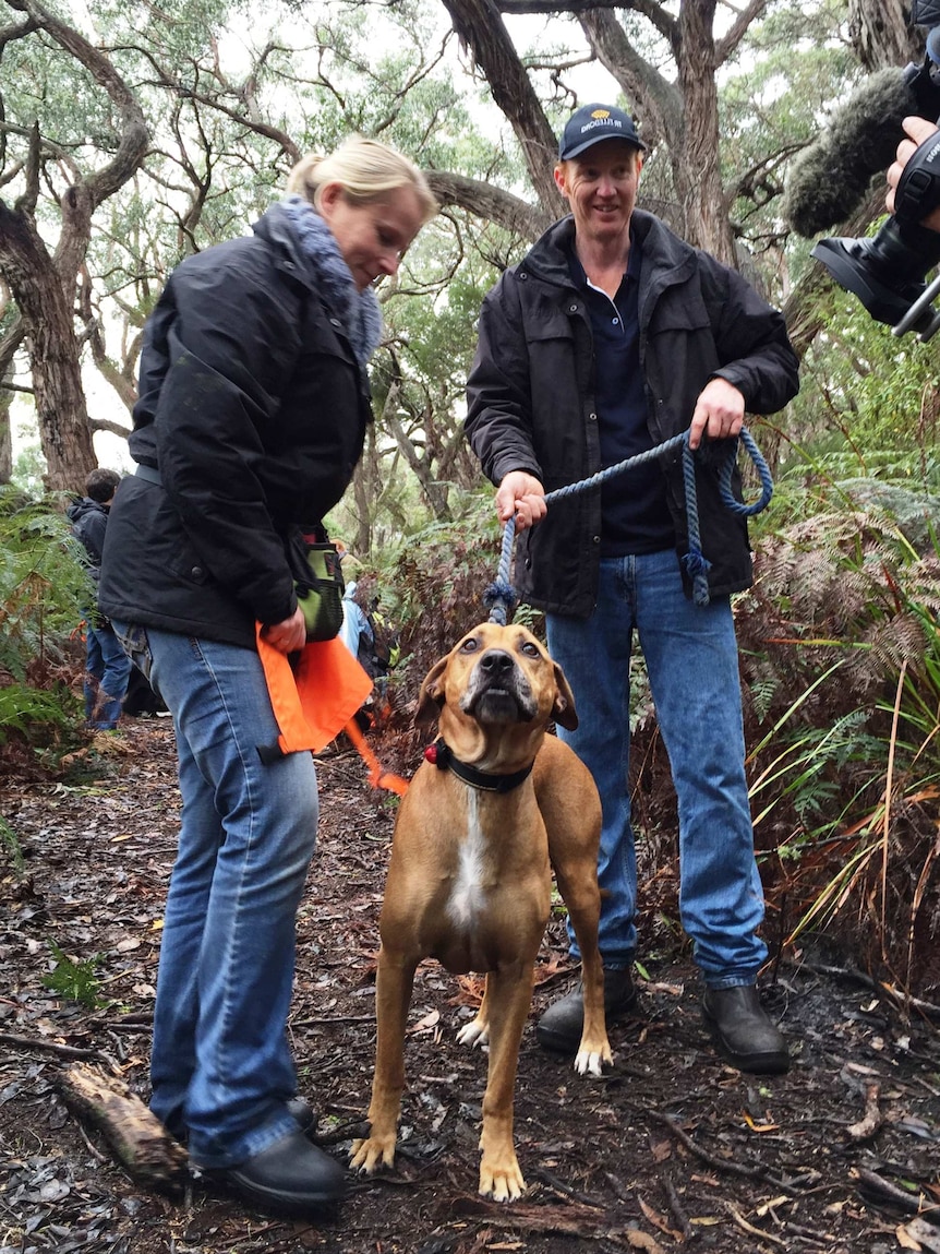 Shayne and Lizzie Neal with a dog being trained to sniff out quolls