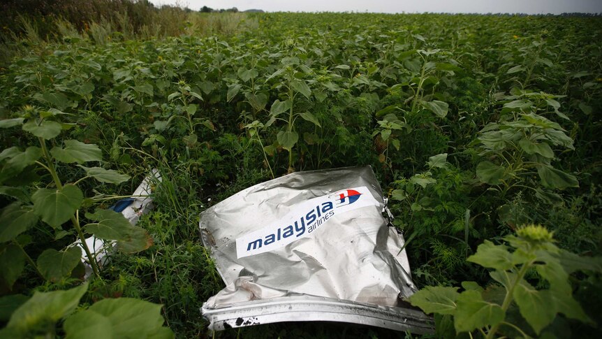 Debris with Malaysia Airlines markings lays in field in Donetsk region of Ukraine.