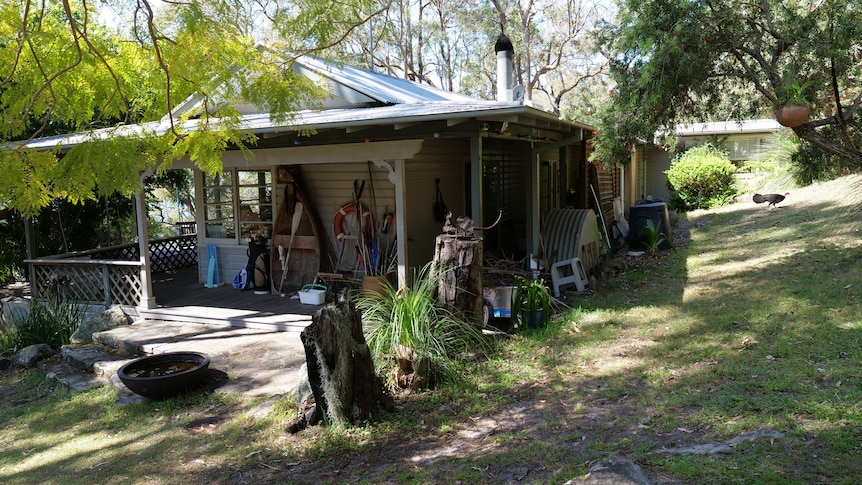 A view of a weatherboard cottage, with a bush turkey visible on a hill down the side of the house.