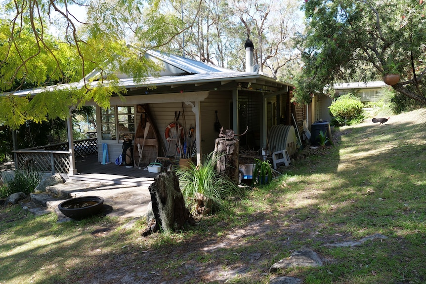 A view of a weatherboard cottage, with a bush turkey visible on a hill down the side of the house.