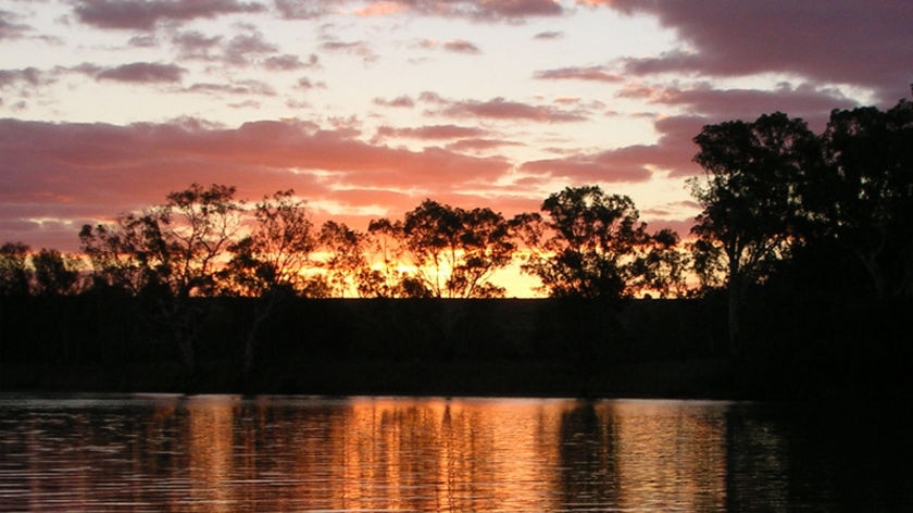 Murray River Swan Reach
