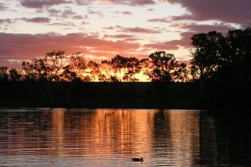 Murray River Swan Reach