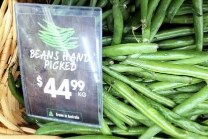 Green beans with a price tag of 44 dollars a kilo