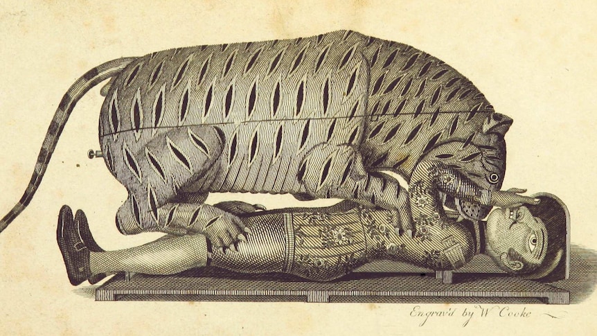An illustration of the automaton "Tippoo's Tiger" from an 1800 book.