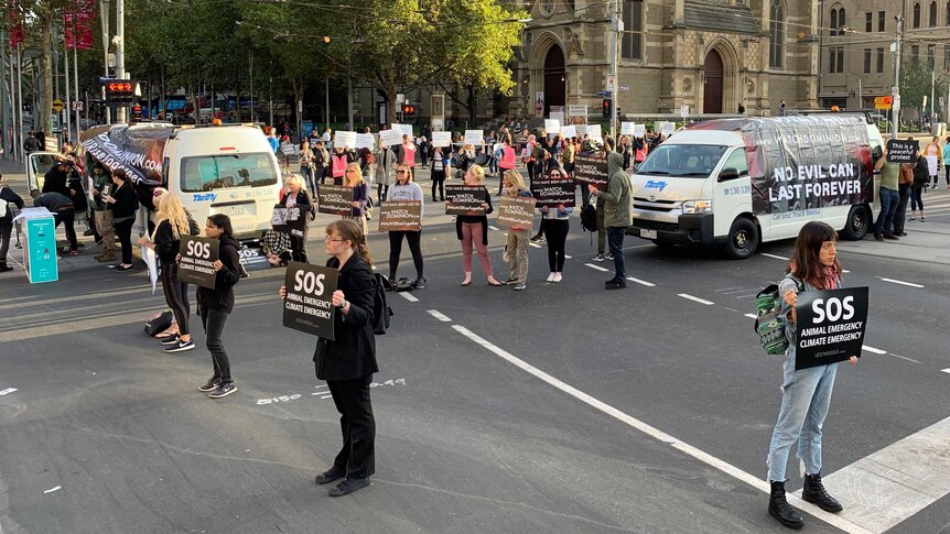 News WA: Vegan activists promise to break more laws in face of proposed  trespassing crackdown