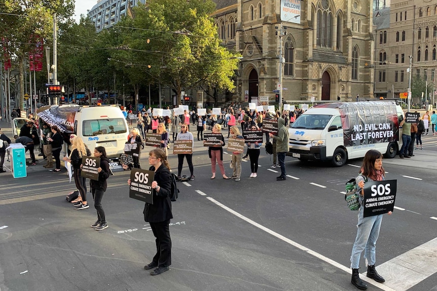 A small group of protesters carrying black signs reading 'SOS Animal Emergency' and vans block an intersection.