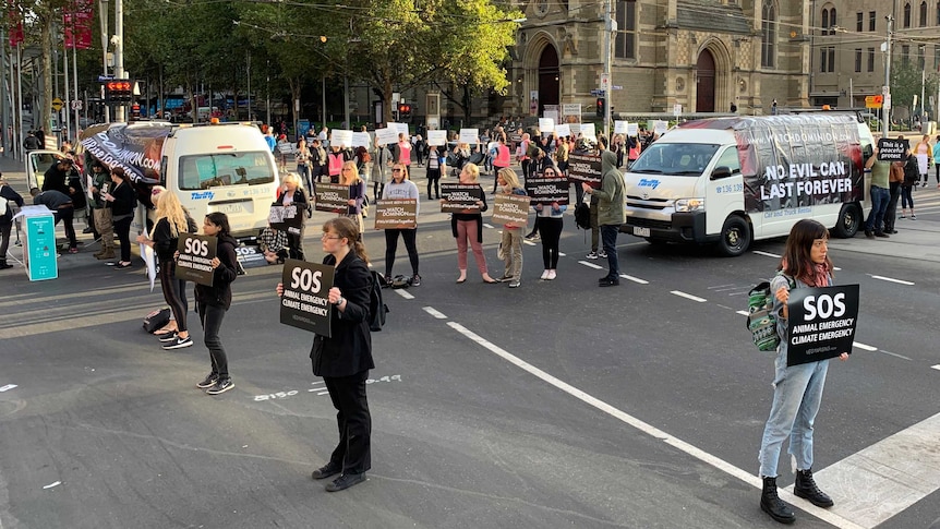 A small group of protesters carrying black signs reading 'SOS Animal Emergency' and vans block an intersection.