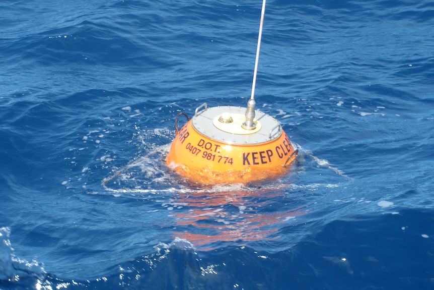 An orange wave buoy rider in the ocean