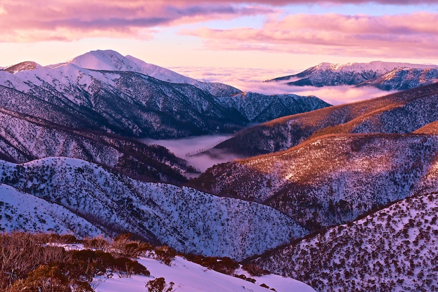 El valle de la montaña cubierto de nieve brilla de color púrpura en la puesta de sol.