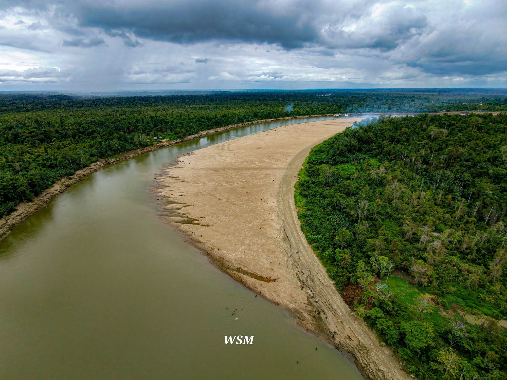 A receding river in a thick jungle