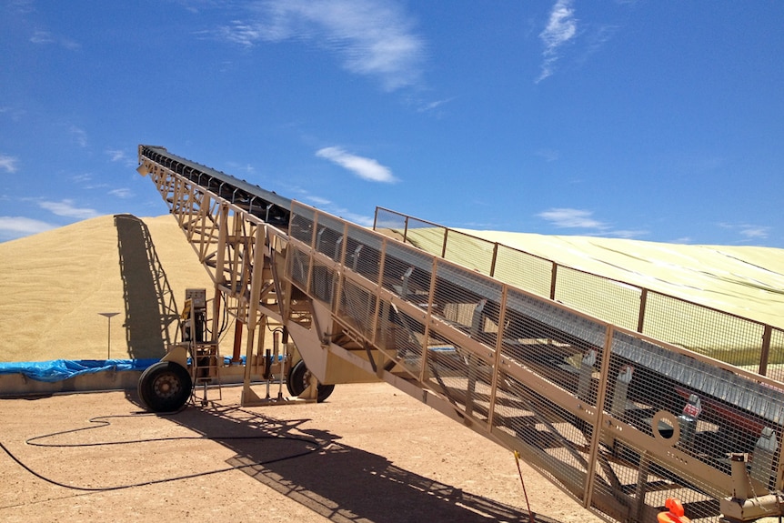 Grain arriving for storage at Ouyen