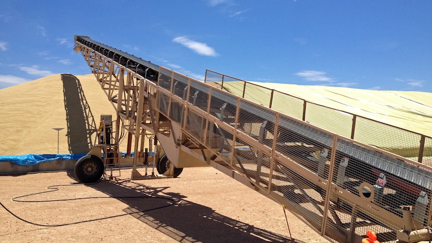 Grain arriving for storage at Ouyen